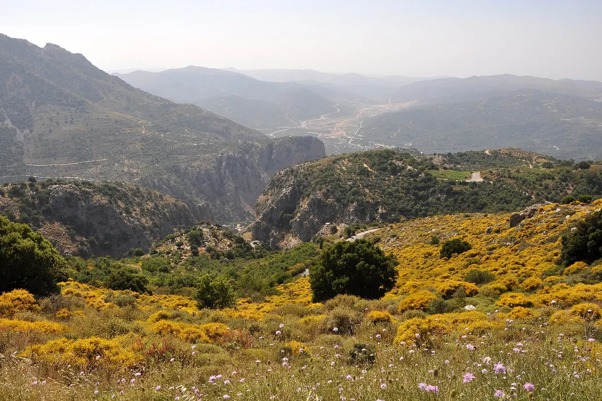 Ein Hügel im kretischen Hinterland, bedeckt mit gelbem Ginster und Wildblumen, dahinter eine felsige Schlucht und geschichtete Berge